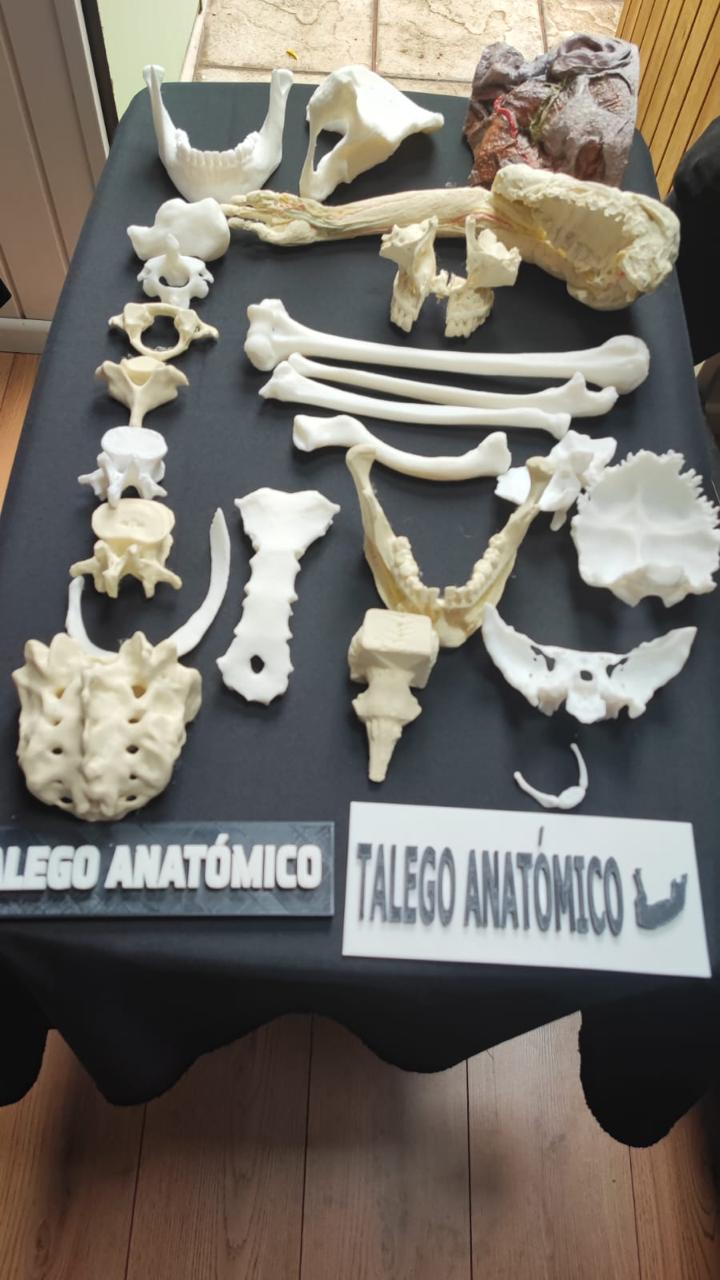 Modelos Anatómicos 3D